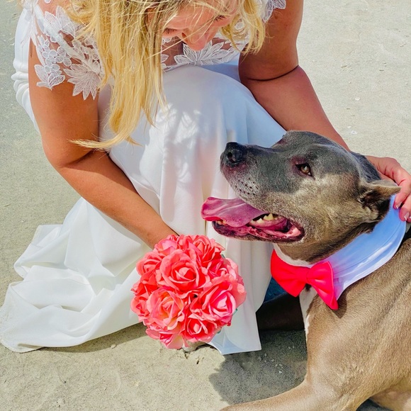 Meet your Posher, Christine - Picture 5 of 5